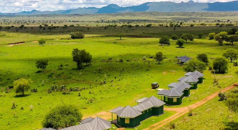 how-short-tourism-courses-can-boost-your-career-fast