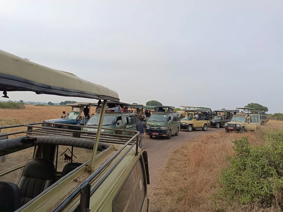 best-courses-for-students-interested-in-wildlife-and-tourism
