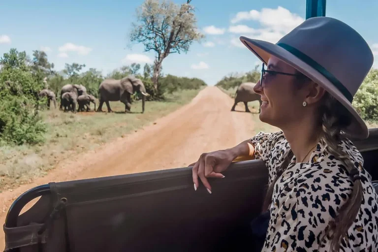 how-to-get-a-job-in-a-safari-company-in-uganda