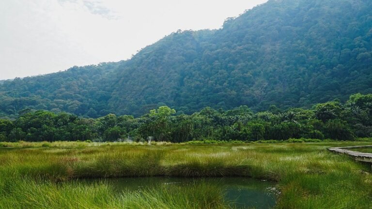 wetland-guide-training-tourism-on-ugandas-lakes-and-rivers
