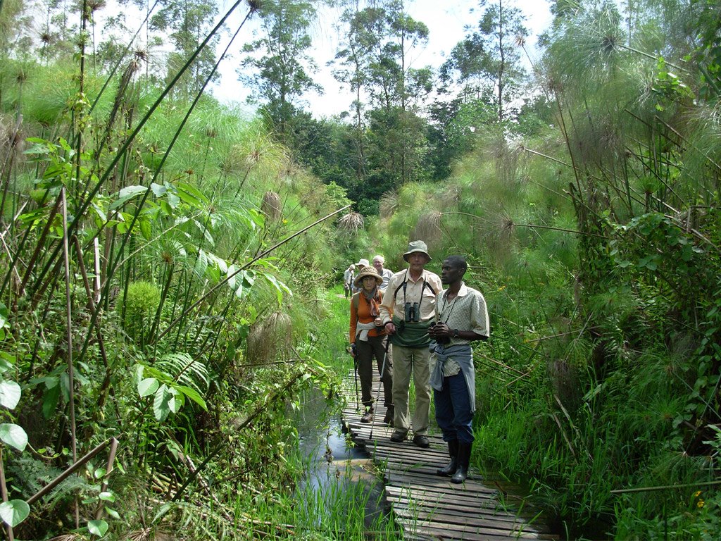 wetland-and-birding-tourism-training-in-uganda