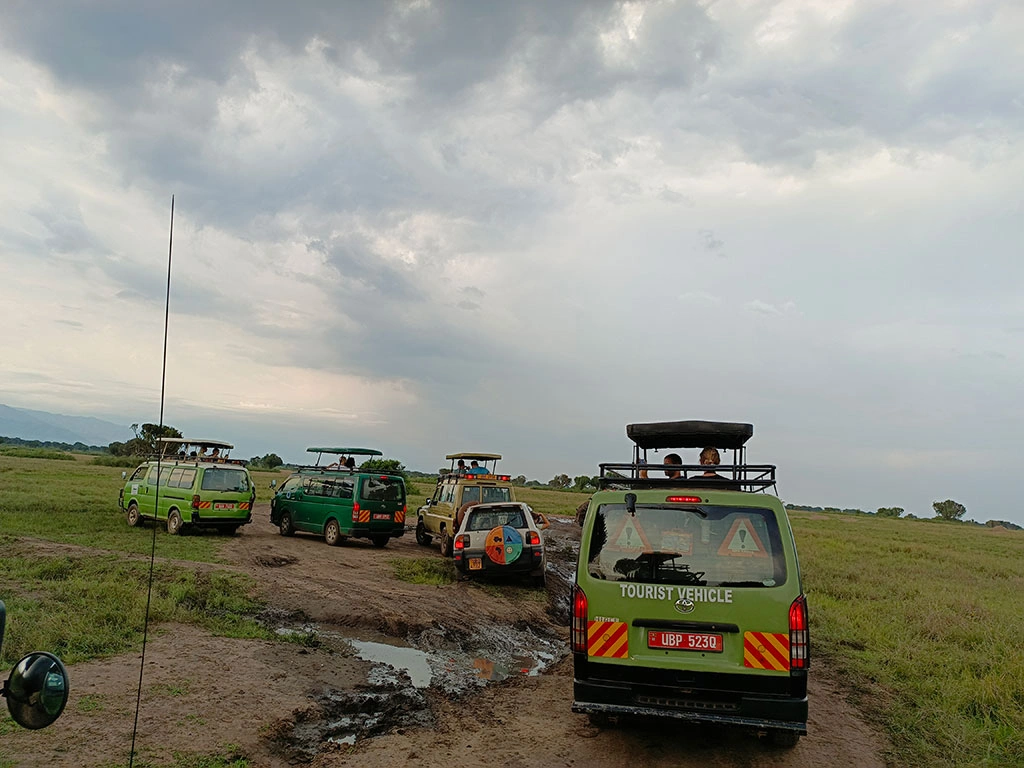 wildlife-tour-guiding-in-ugandaskills-you-must-have