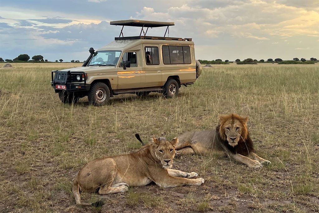 Tour Guiding Courses in Uganda :Everything You Need To Know