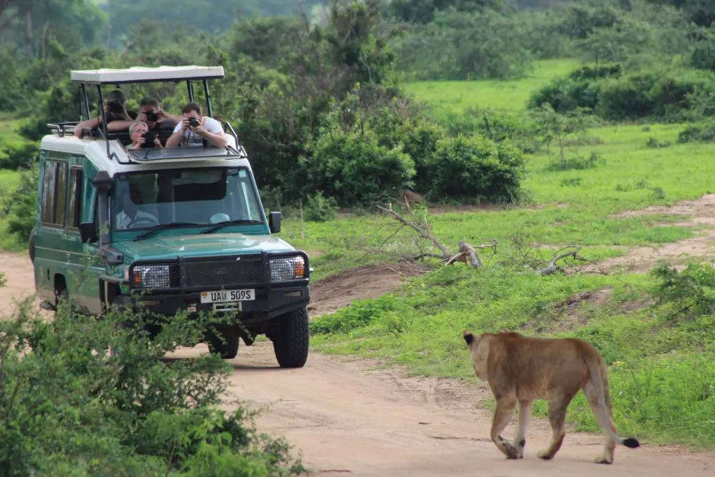 top-tourism-jobs-in-uganda-and-how-to-qualify-for-them