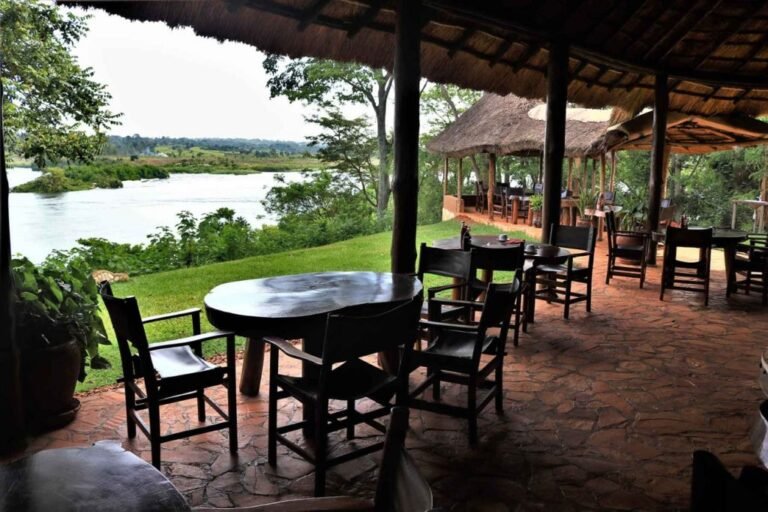 conservation-and-eco-lodge-management-courses-in-uganda
