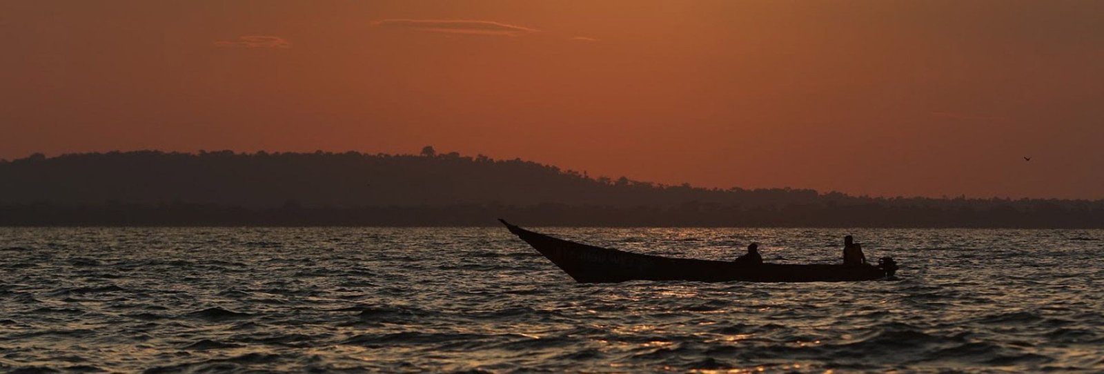 how-tourism-can-help-protect-ugandas-biodiversity