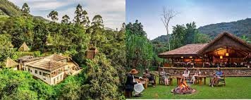 eco-lodge-hospitality-new-frontier-for-ugandan-gradutes