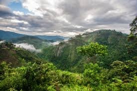 tourism-planning-and-development-a-course-for-ugandas-future