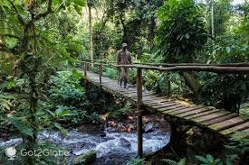 how-to-work-as-a-wildlife-ranger-in-ugandas-national-parks