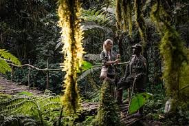 how-to-work-at-bwindi-impenetrable-forest-as-a-tourism-professional