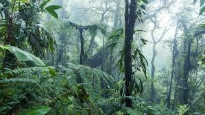 nature-interpretation-skills-what-every-eco-guide-should-know