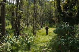 Tourism Course Fees in Uganda: What To Budget For