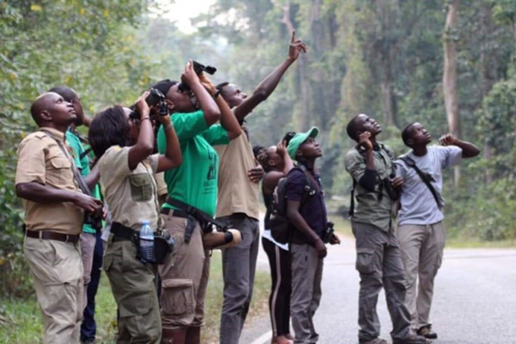 how-much-do-tour-guides-earn-in-uganda
