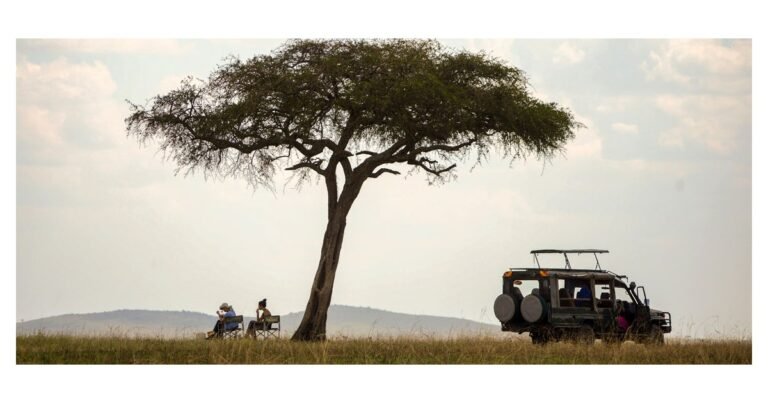how-ugandas-tourism-industry-is-creating-jobs-for-young-people