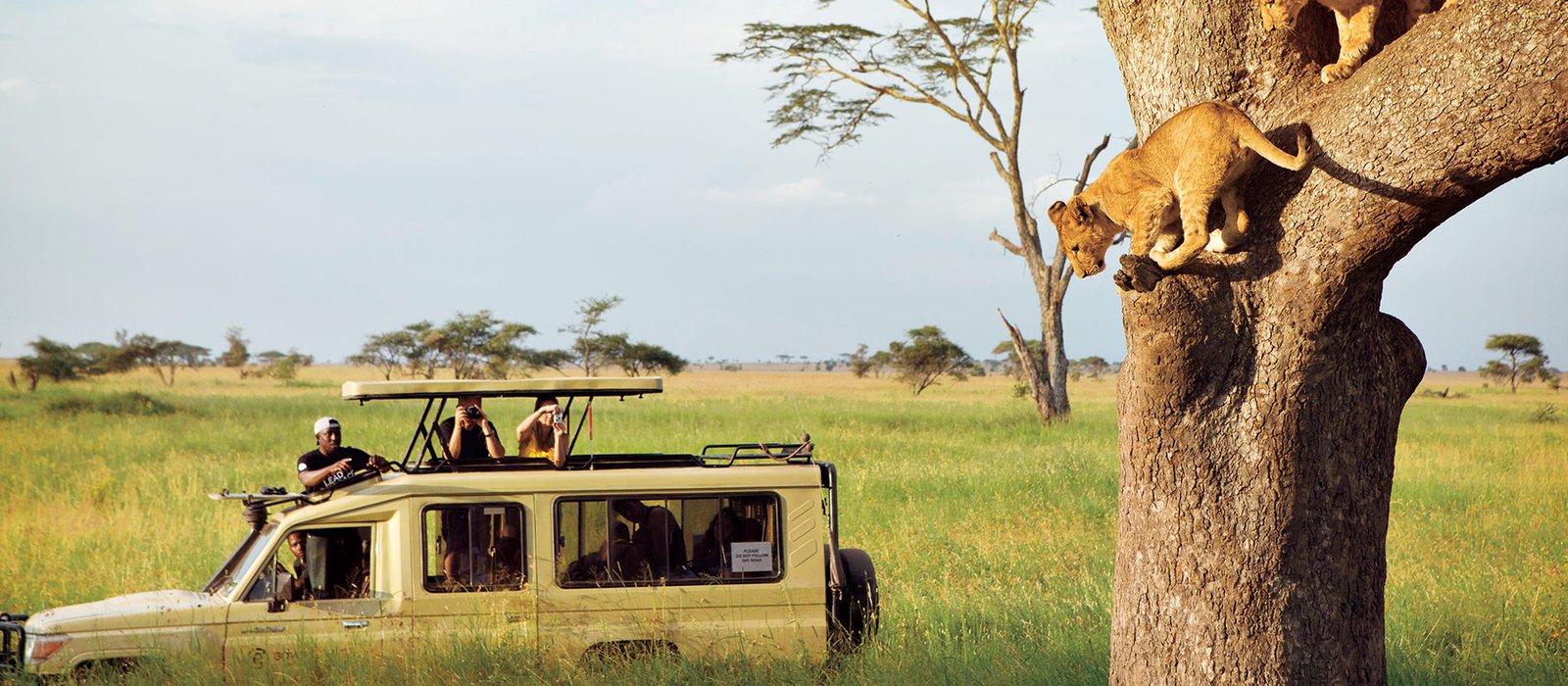 how-to-transition-into-tourism-from-a-different-career-in-uganda